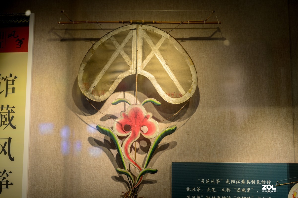 参观阳江风筝馆多图慎入