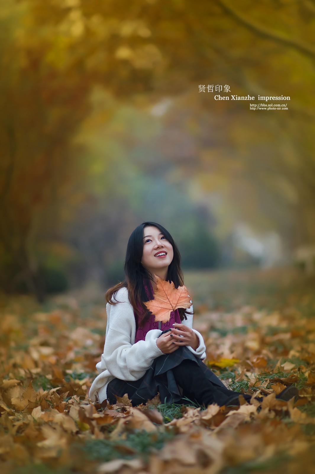 【初冬靓影】---- AF DC-Nikkor 135mm f/2D 习作