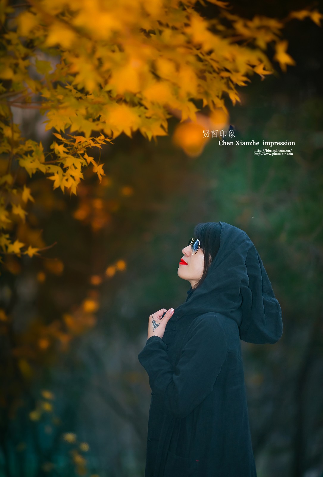 【初冬靓影】---- AF DC-Nikkor 135mm f/2D 习作