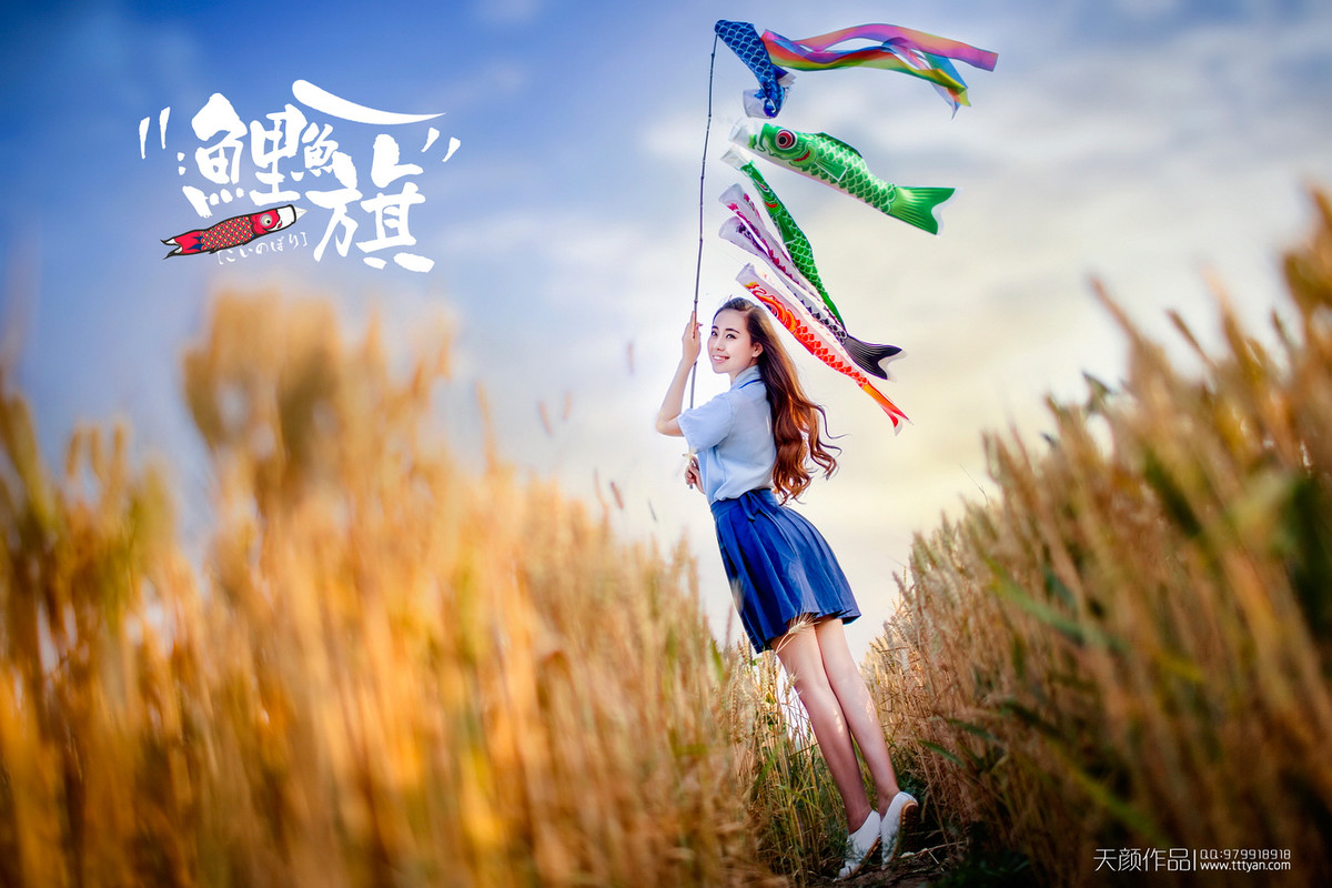 #【碧水天颜2016作品】#  鲤鱼旗【重拍经典｜麦田范本｜教学片】