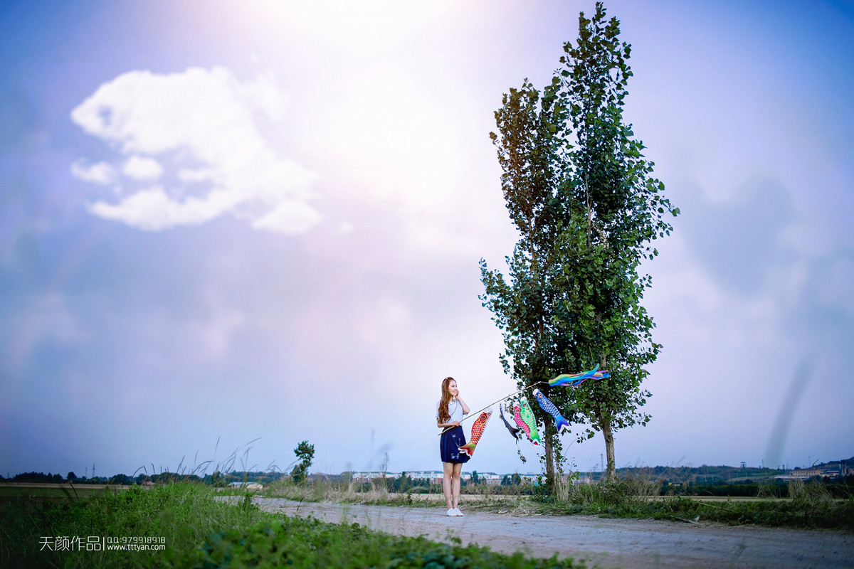 #【碧水天颜2016作品】#  鲤鱼旗【重拍经典｜麦田范本｜教学片】