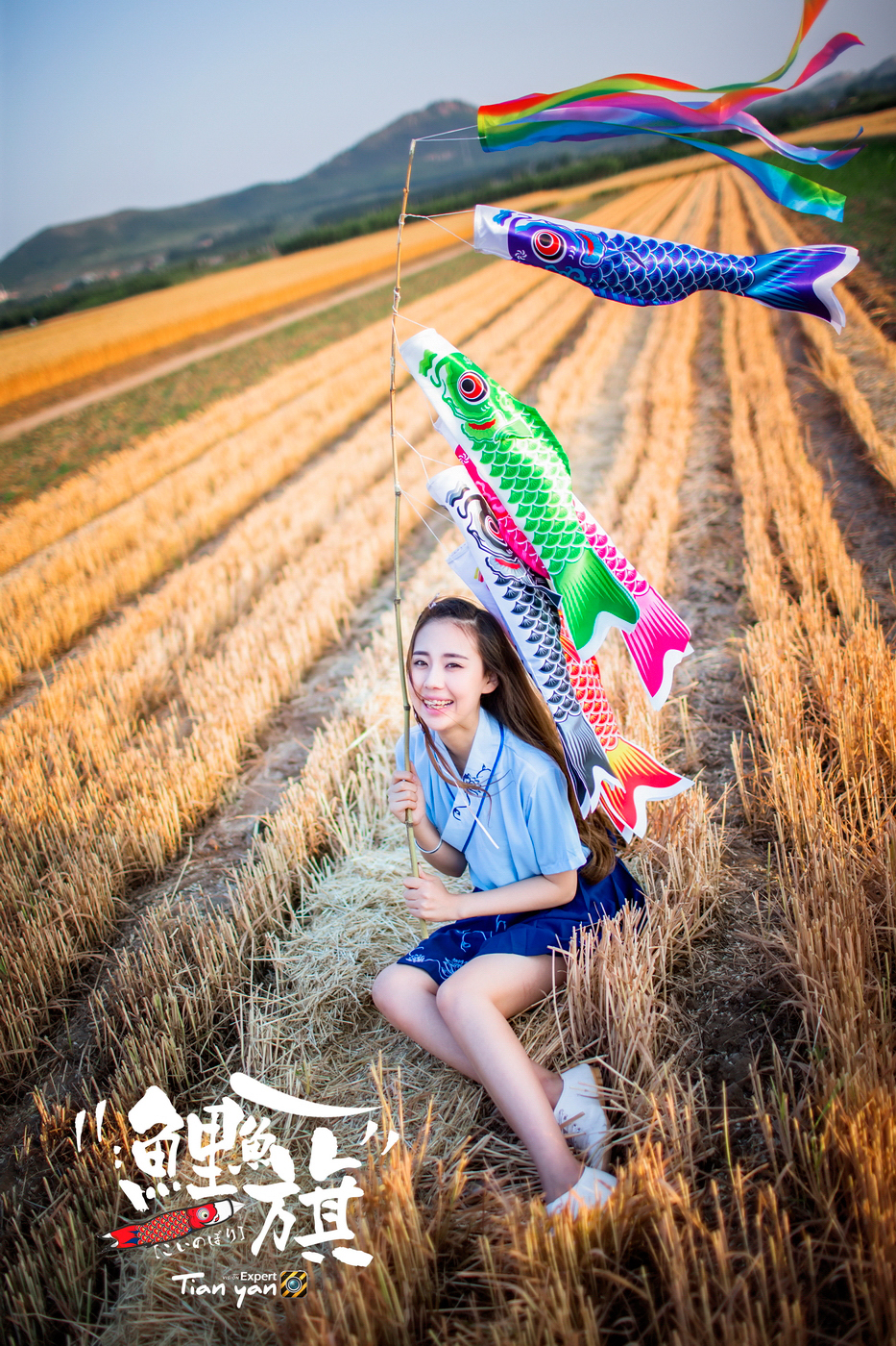 #【碧水天颜2016作品】#  鲤鱼旗【重拍经典｜麦田范本｜教学片】