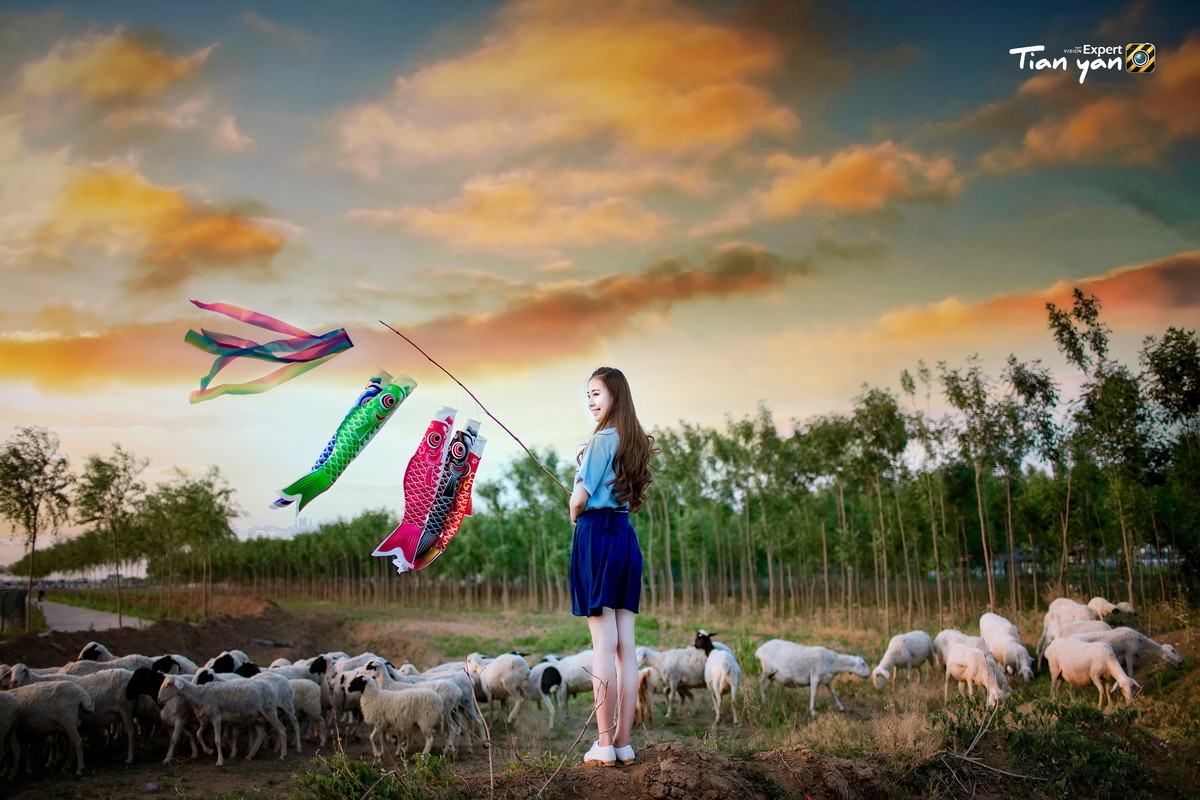 #【碧水天颜2016作品】#  鲤鱼旗【重拍经典｜麦田范本｜教学片】