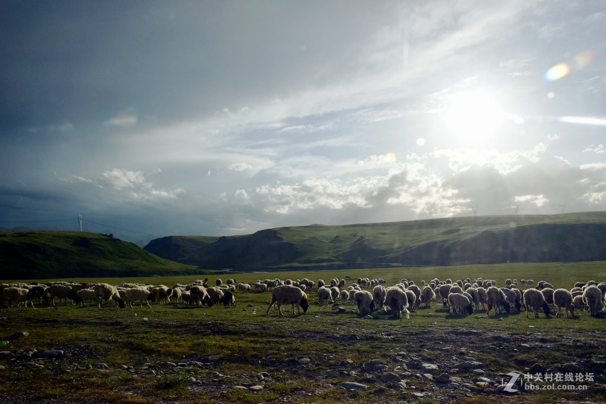 2017夏 长沙到喀什（95）穿越巴音布鲁克草原