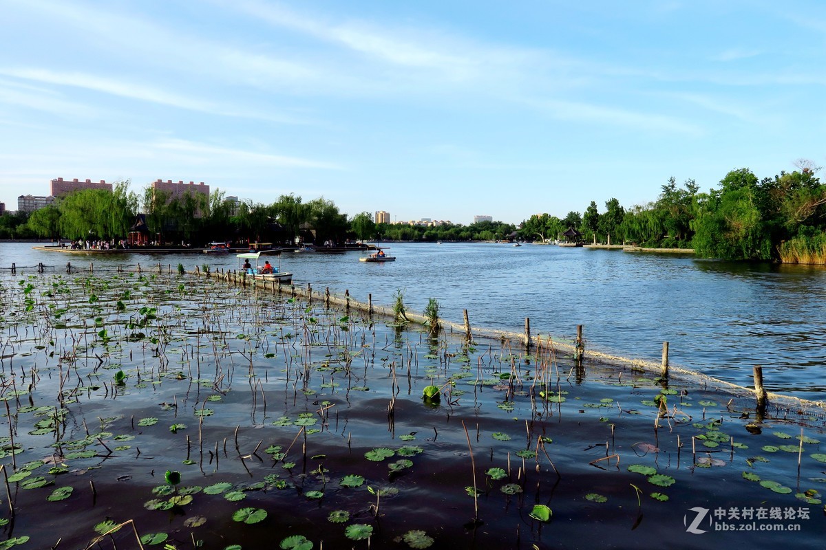 走马看花大明湖