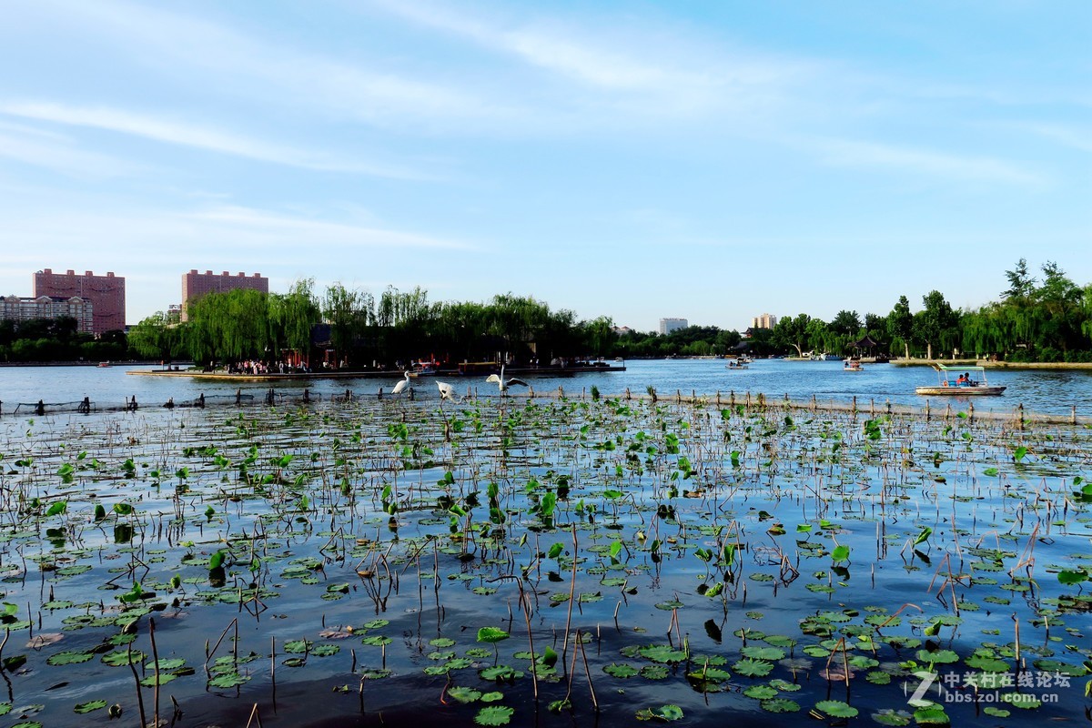 走马看花大明湖
