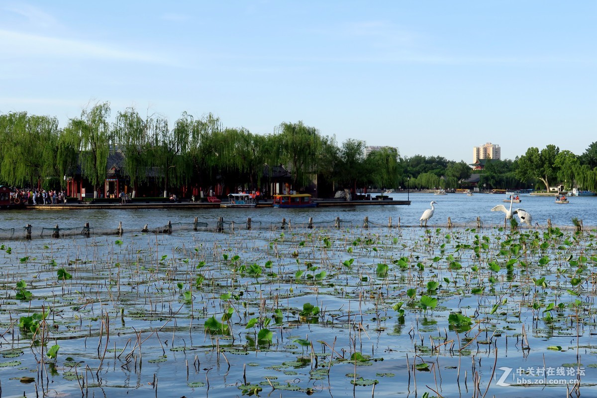 走马看花大明湖