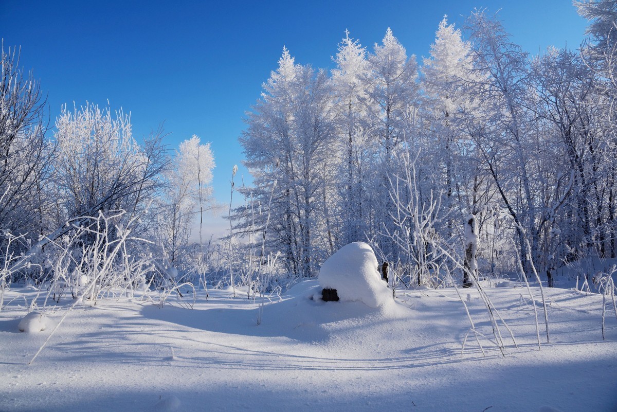 转载一组尼粉的雪景、雾凇