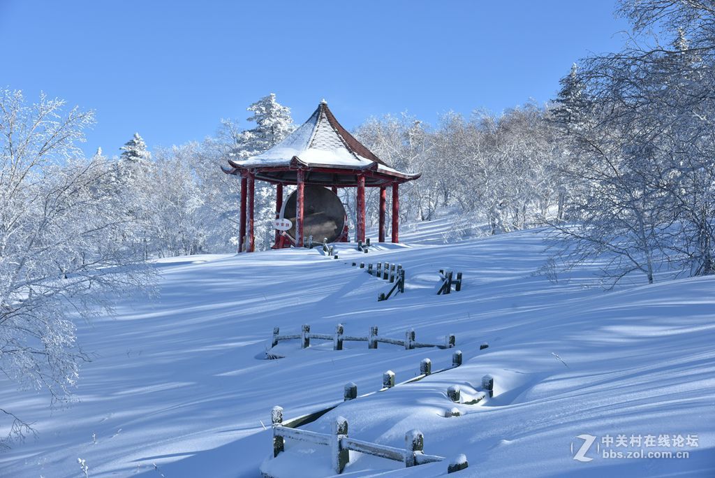 转载一组尼粉的雪景、雾凇