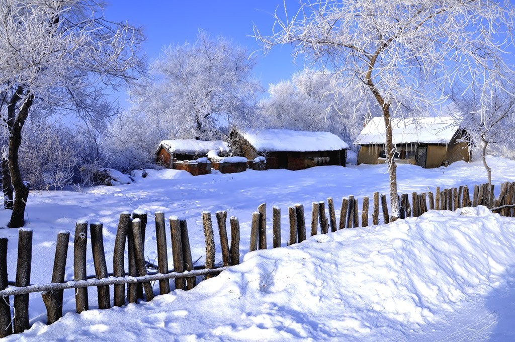 转载一组尼粉的雪景、雾凇