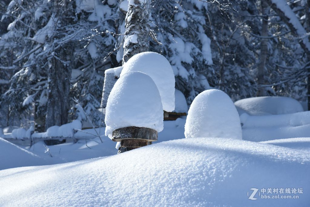 转载一组尼粉的雪景、雾凇