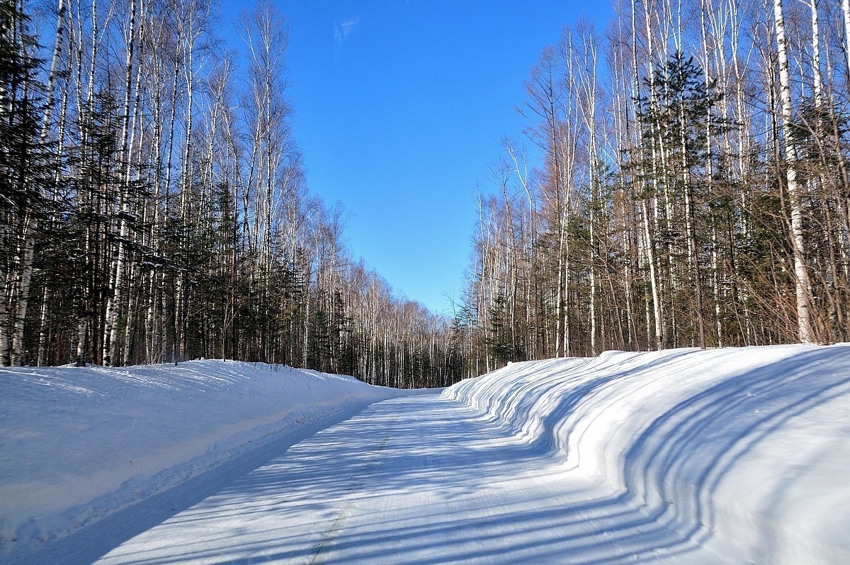 转载一组尼粉的雪景、雾凇