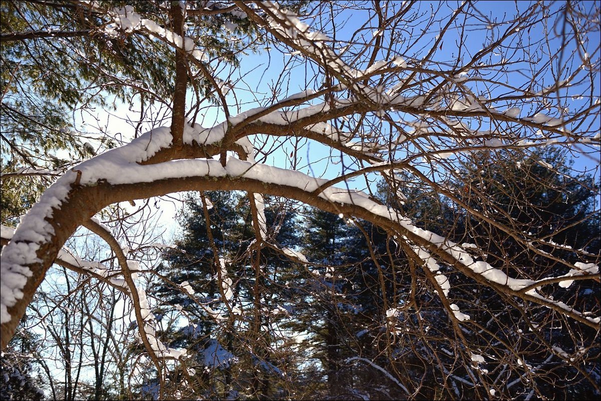 休闲随拍（376）