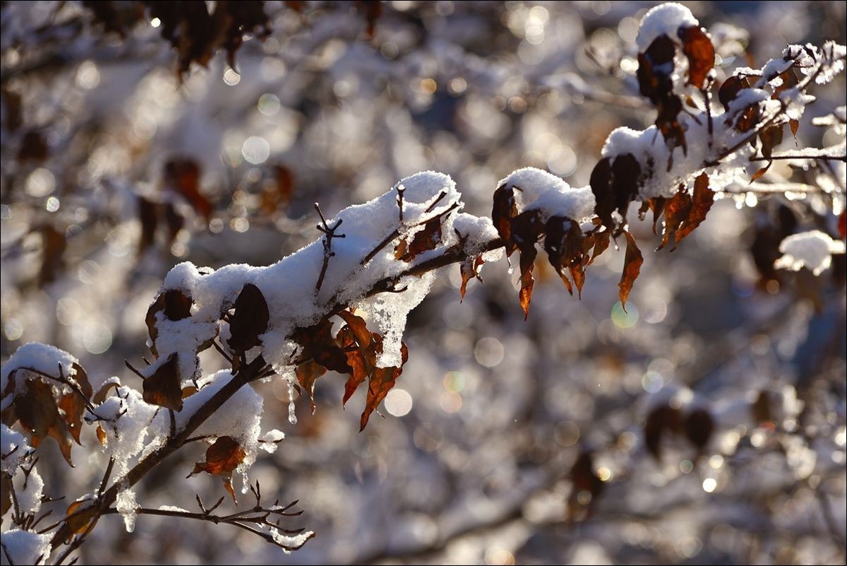 休闲随拍（376）