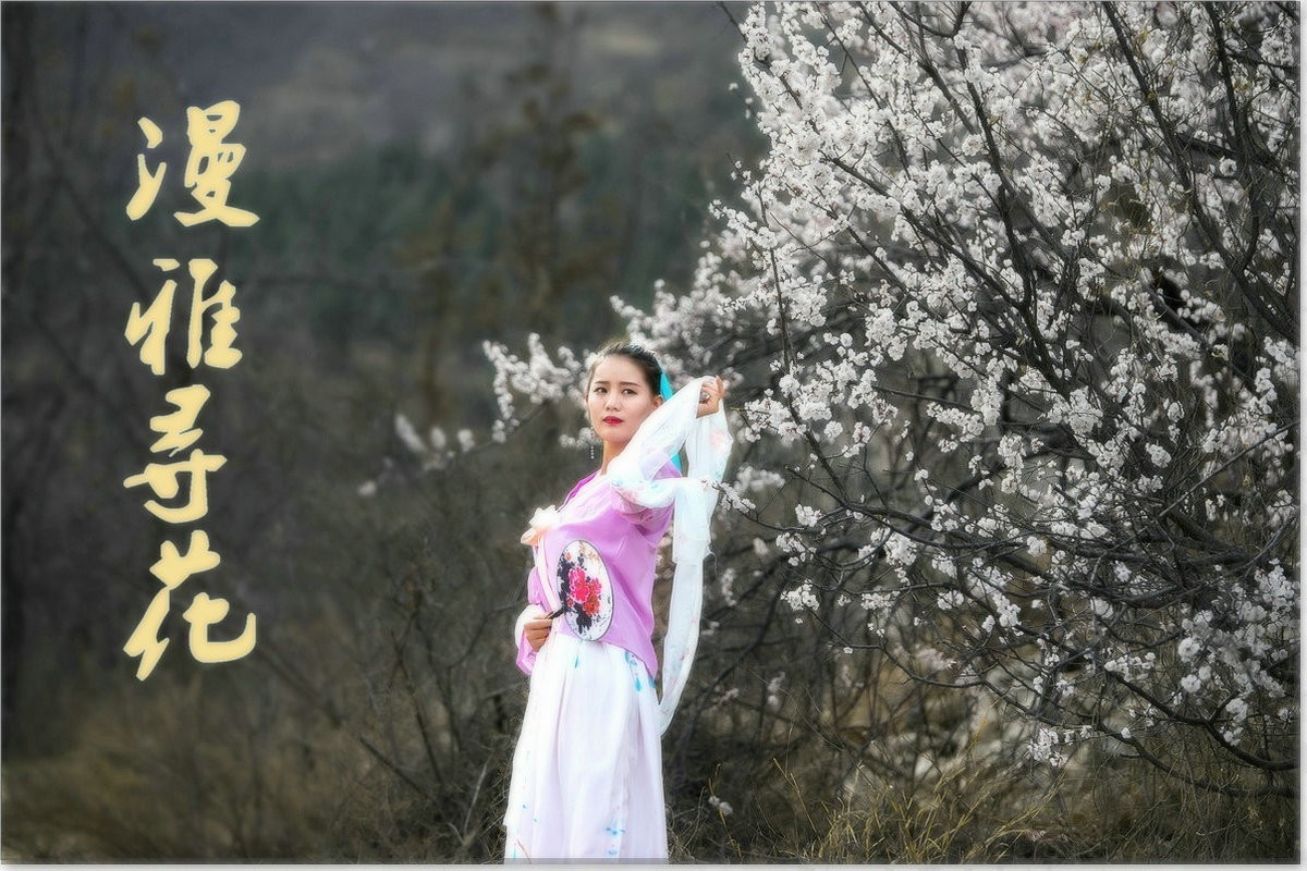 漫雅寻花