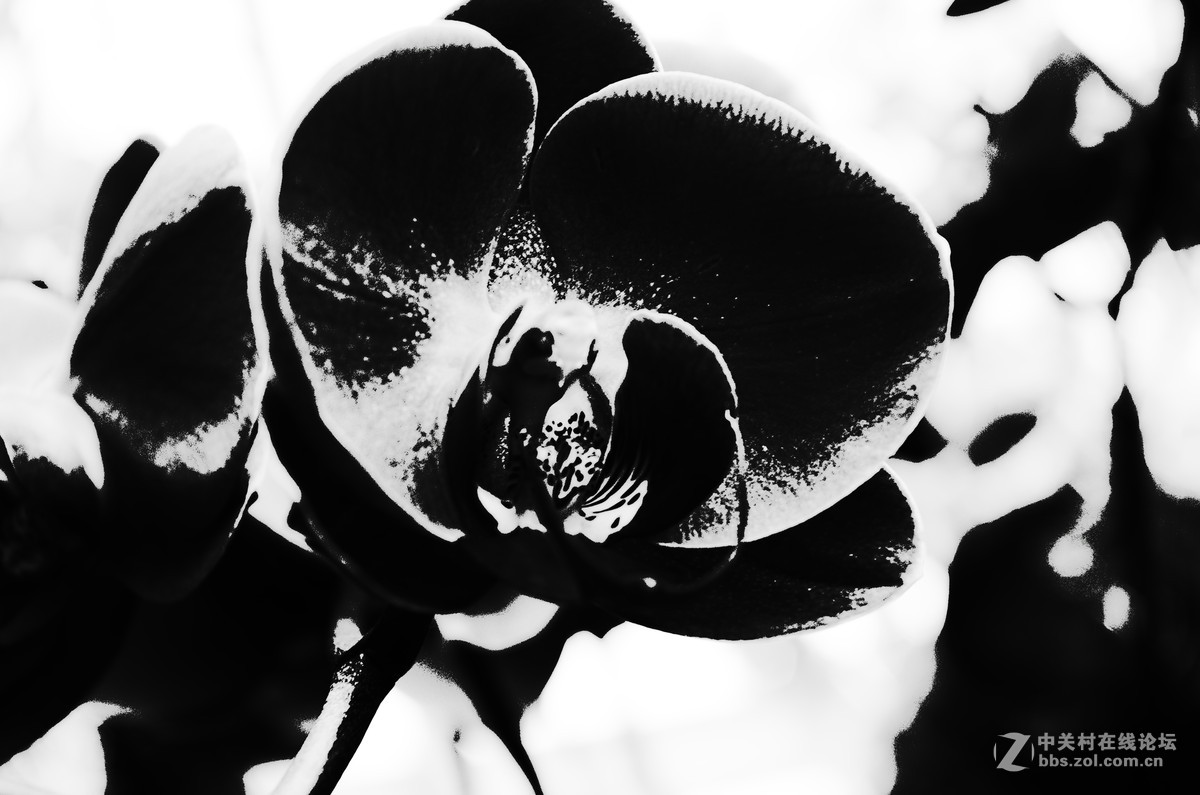 首次学弄后期，弄的不好，请各位多多指教哦