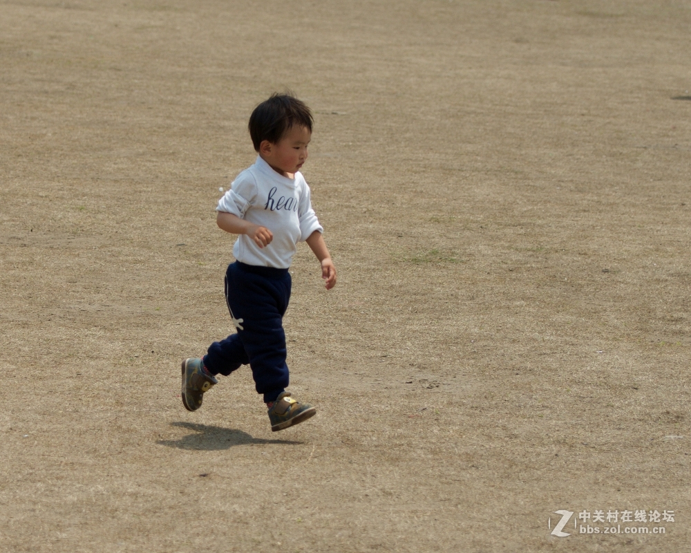 祝好友晩之秋任5dsr版主，祝贵版兴旺发达