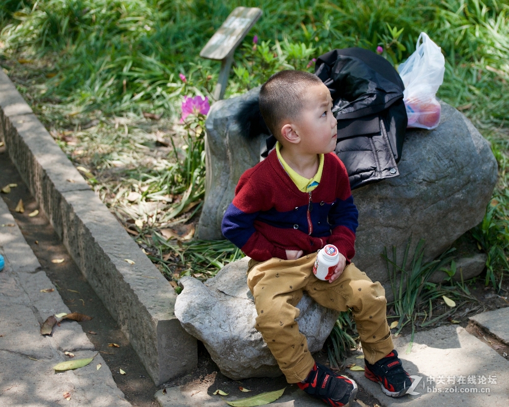 祝好友晩之秋任5dsr版主，祝贵版兴旺发达