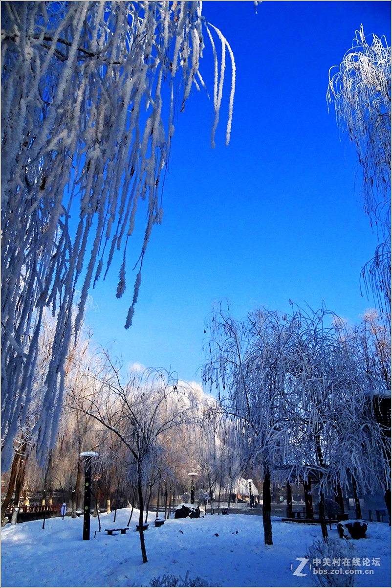 【 乌鲁木齐的冬天 （2016-2017） 】（10） ——水磨沟，越冷越美