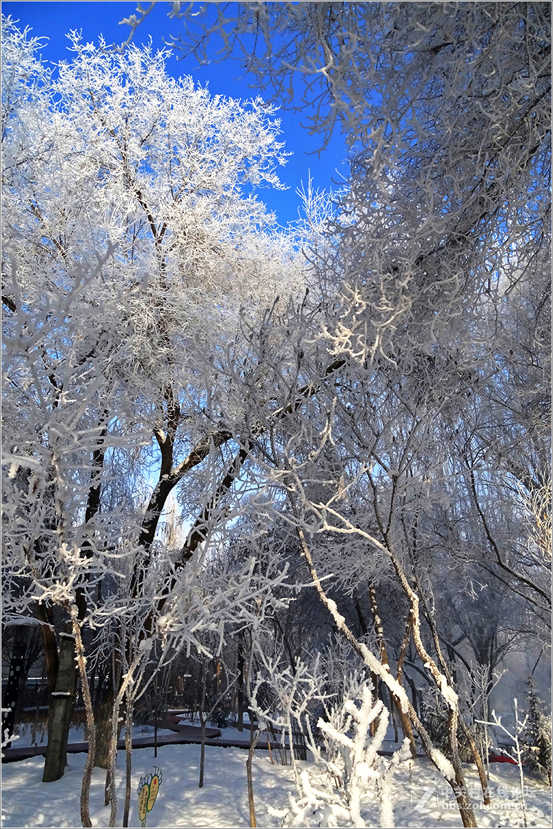 【 乌鲁木齐的冬天 （2016-2017） 】（10） ——水磨沟，越冷越美