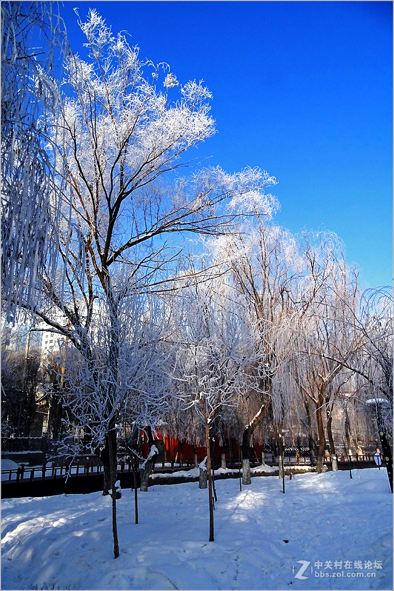 【 乌鲁木齐的冬天 （2016-2017） 】（10） ——水磨沟，越冷越美