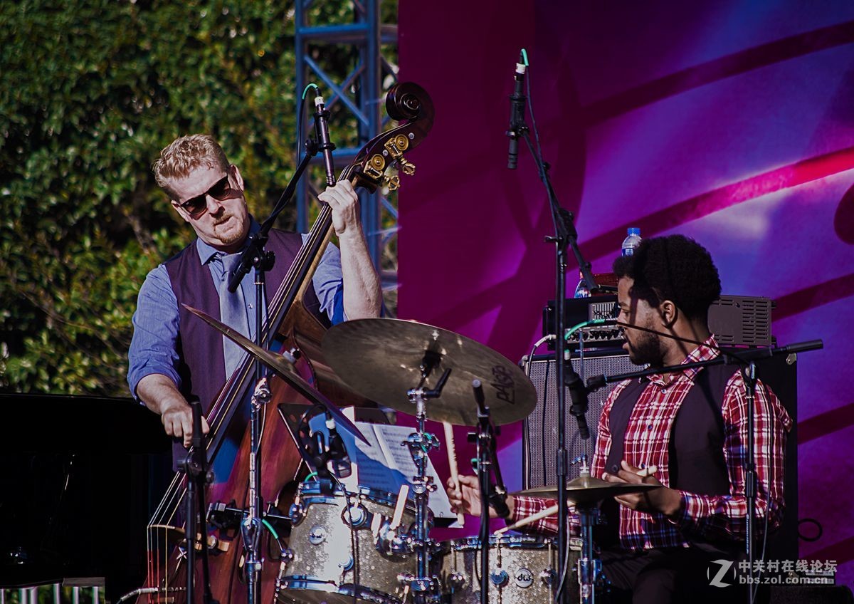 草坪上的爵士调