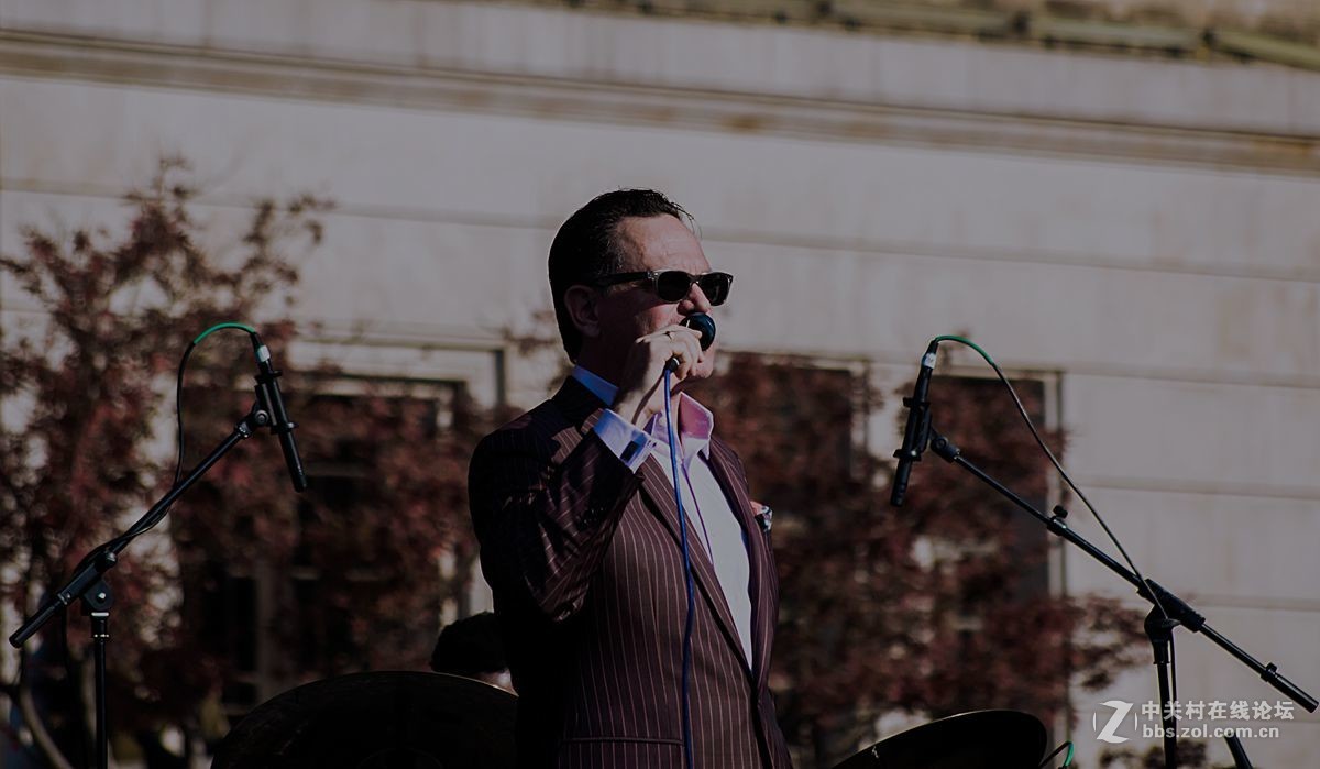 草坪上的爵士调