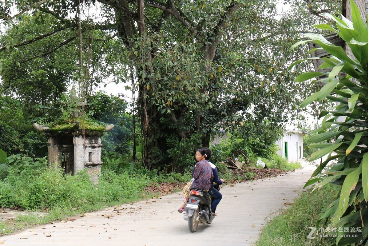 滇西行支畹町、瑞丽