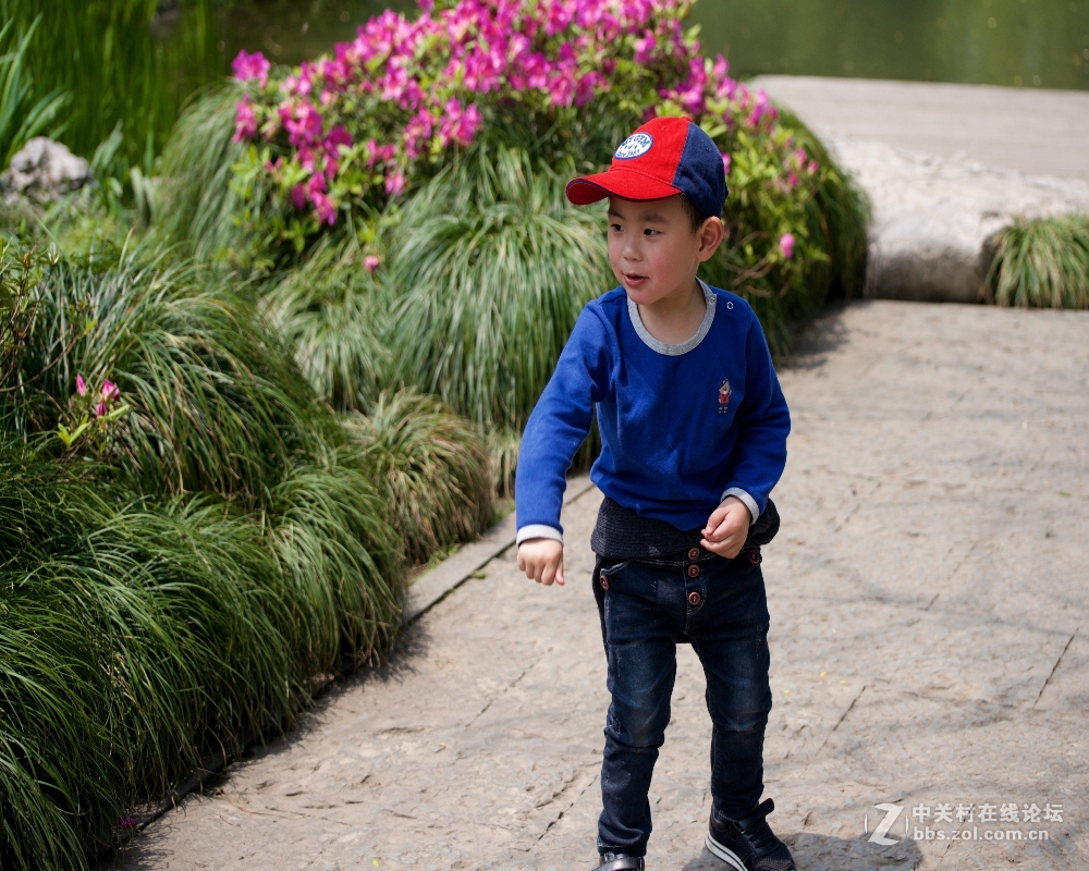 祝好友晩之秋任5dsr版主，祝贵版兴旺发达