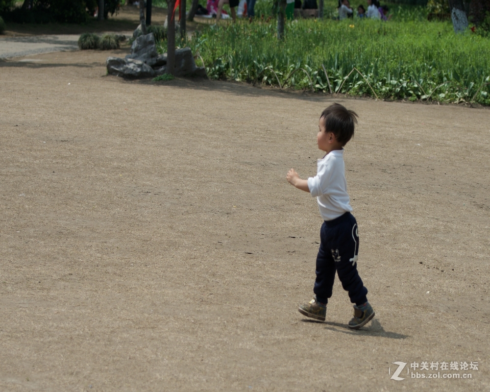 祝好友晩之秋任5dsr版主，祝贵版兴旺发达