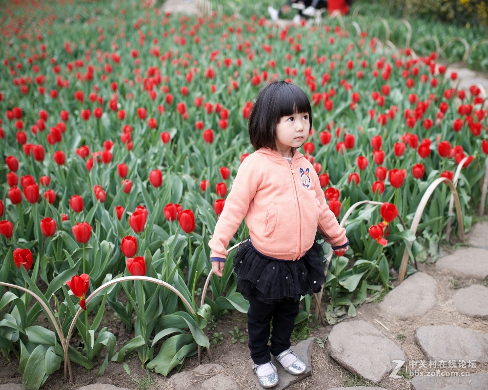 祝好友晩之秋任5dsr版主，祝贵版兴旺发达