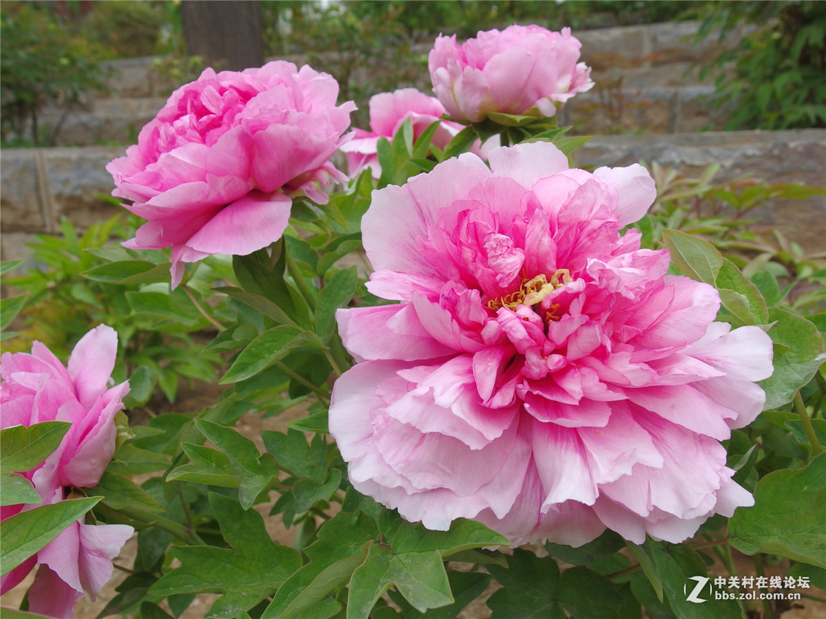 出个MX-1，出个威达28-210红圈（2016年6月9日镜头已出）（2016年11月7日MX-1已出）