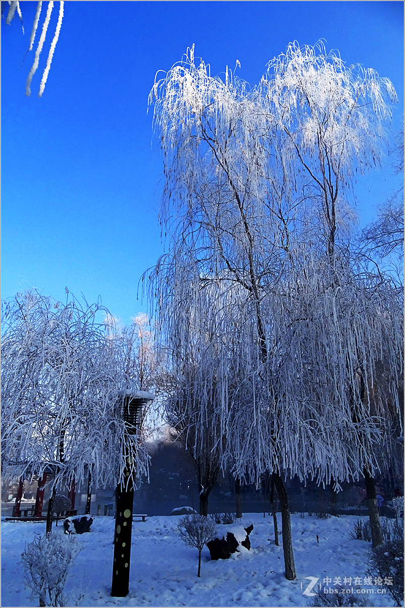 【 乌鲁木齐的冬天 （2016-2017） 】（10） ——水磨沟，越冷越美