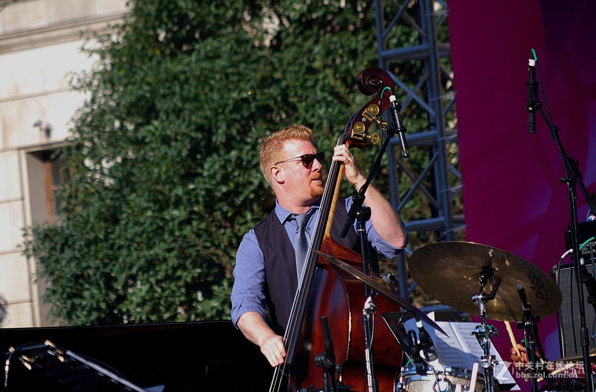 草坪上的爵士调