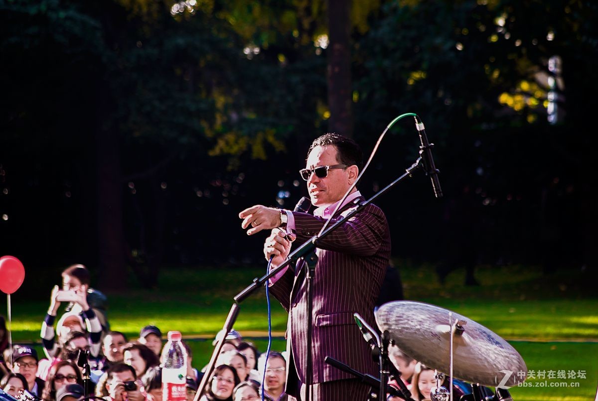 草坪上的爵士调