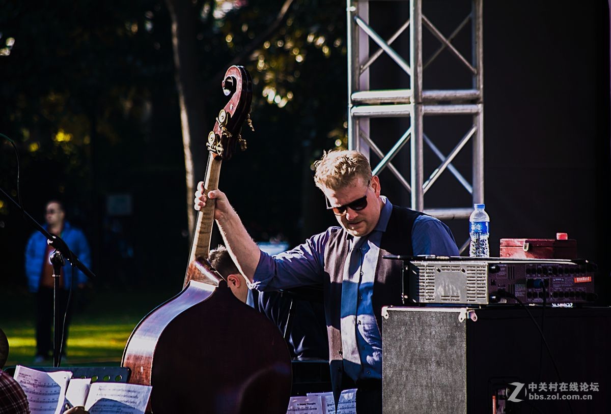 草坪上的爵士调