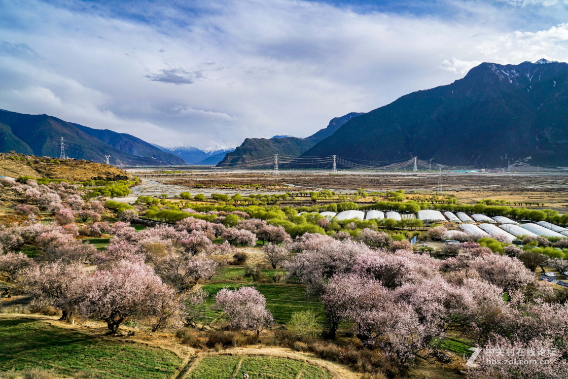 西藏行林芝嘎拉桃花沟