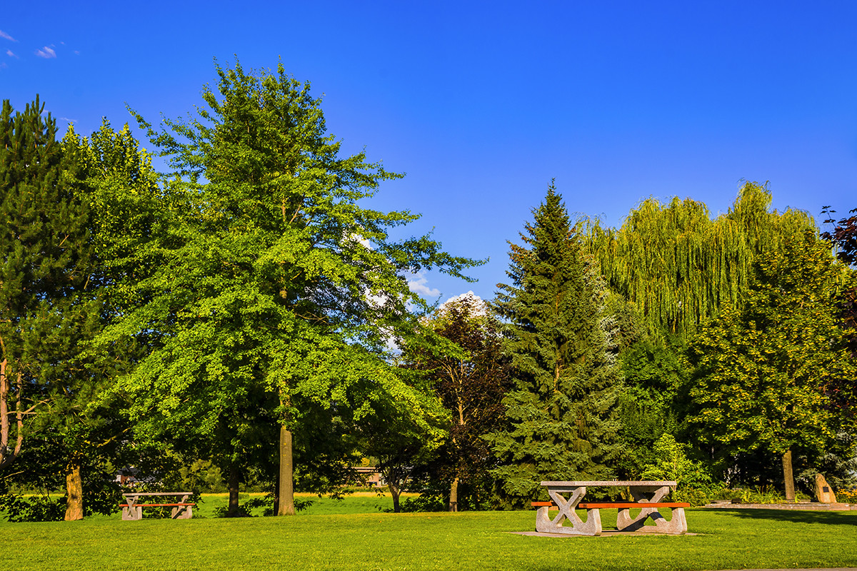 加拿大、美国游记（048）：鲑鱼湾（二）