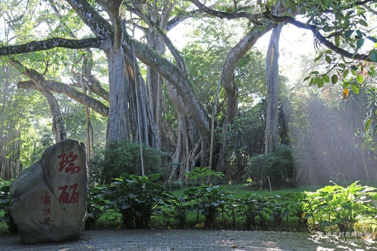 滇西行支畹町、瑞丽