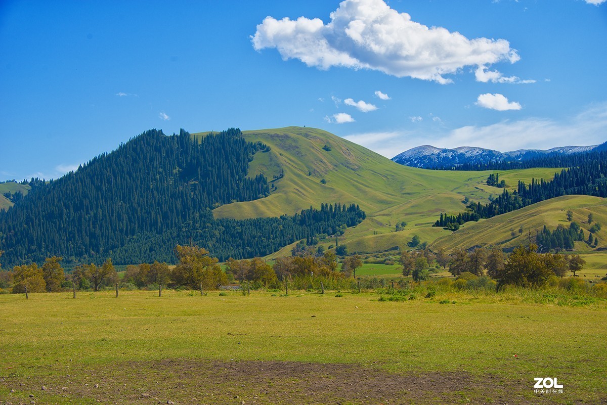 美丽的新疆之---那拉提草原（5）