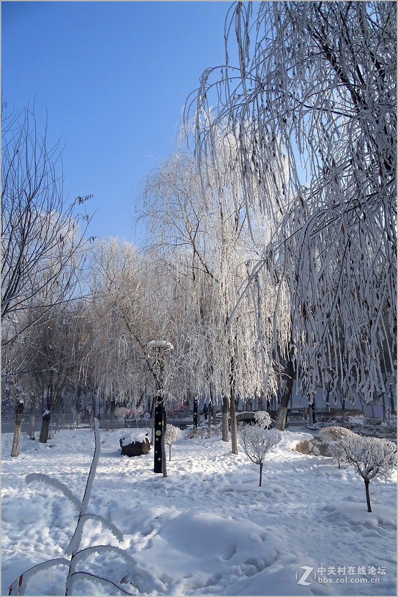 【 乌鲁木齐的冬天 （2016-2017） 】（10） ——水磨沟，越冷越美