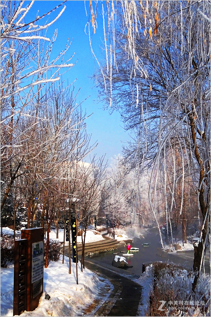 【 乌鲁木齐的冬天 （2016-2017） 】（10） ——水磨沟，越冷越美