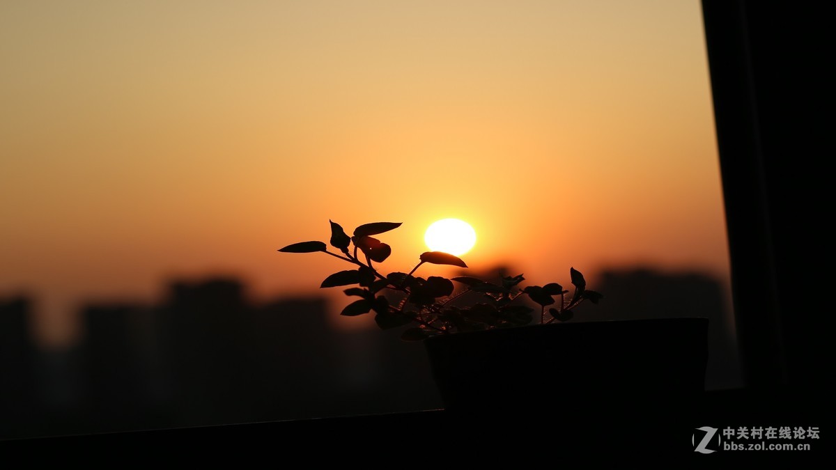 50mm 1.8 STM小痰盂，无后期处理