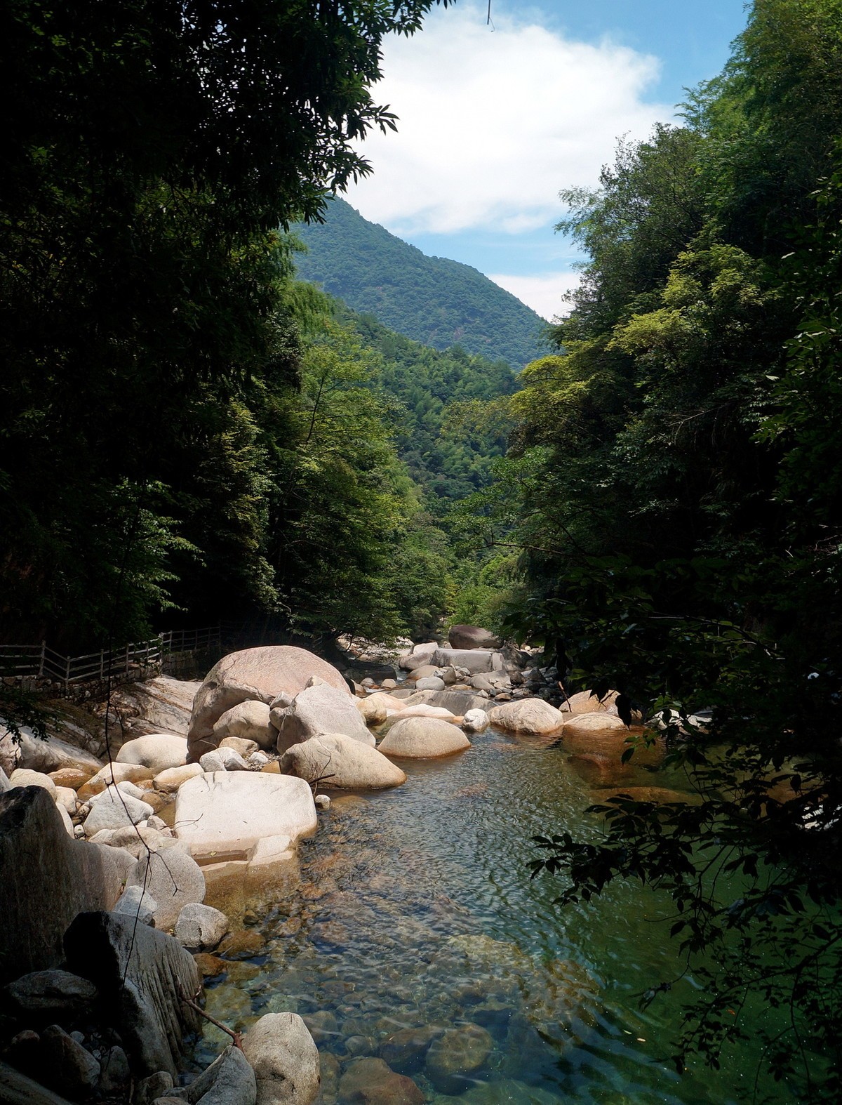 婺源大鄣山的夏天五