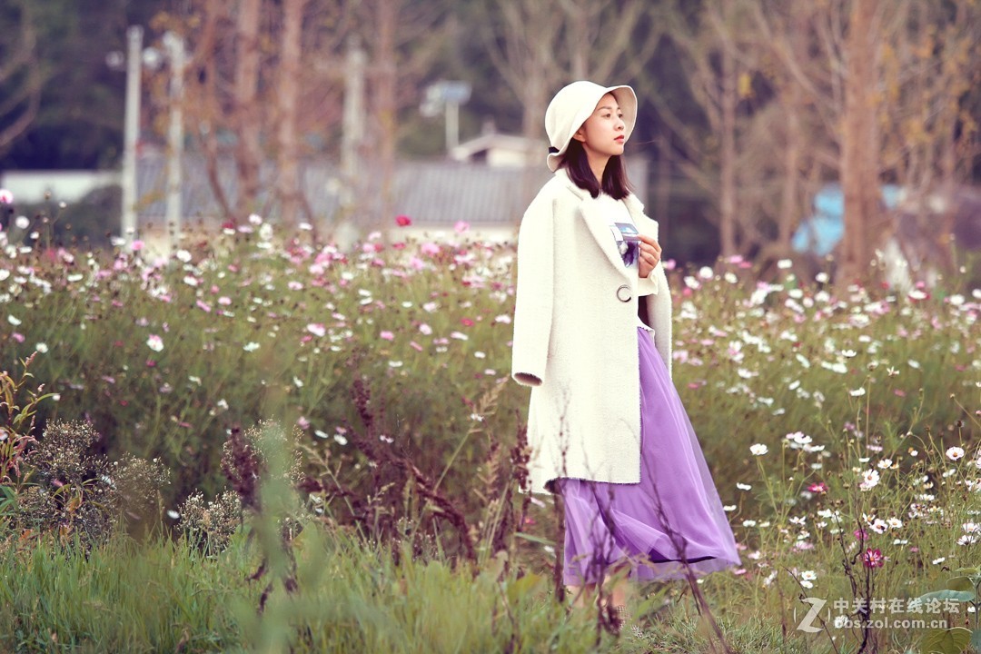 野花从中撒点盐