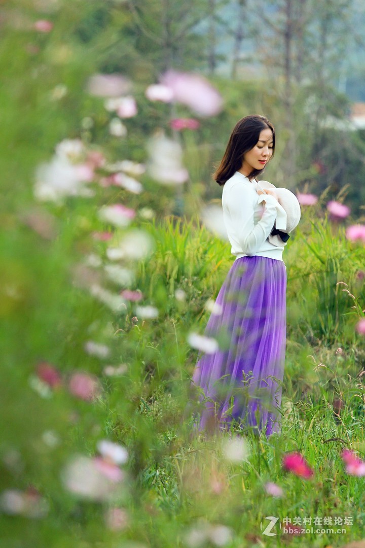 野花从中撒点盐