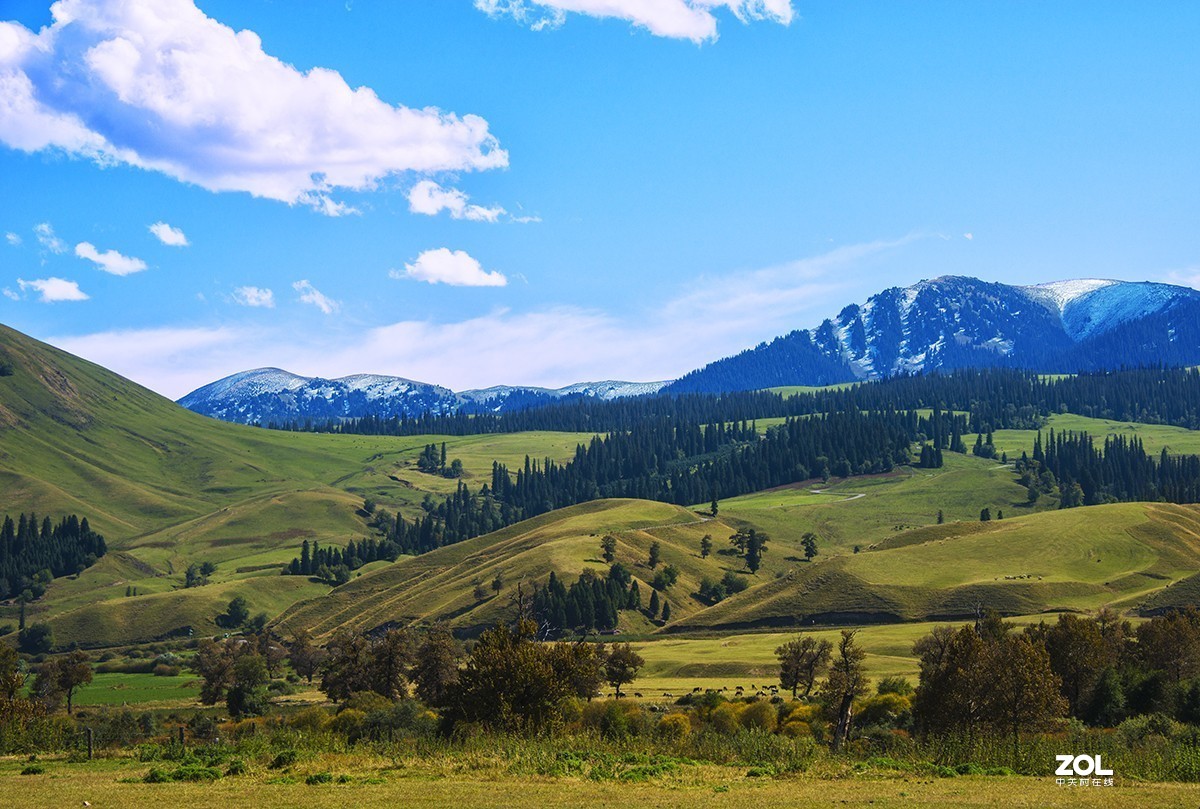 美丽的新疆之---那拉提草原（5）
