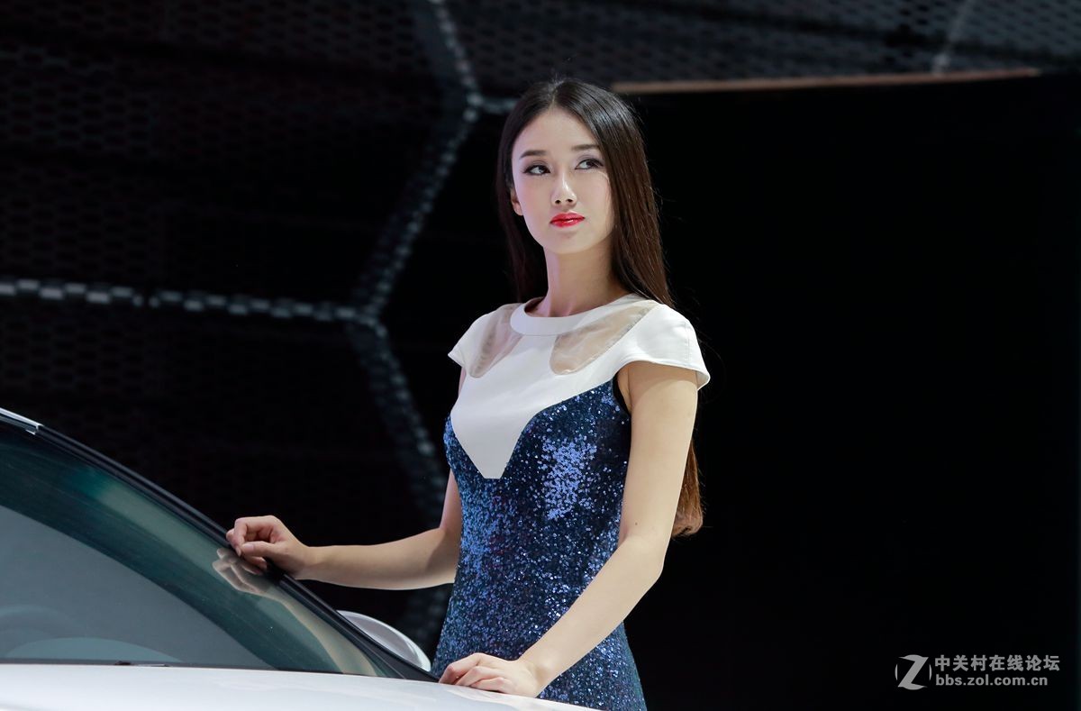 第十六届武汉国际车展车模