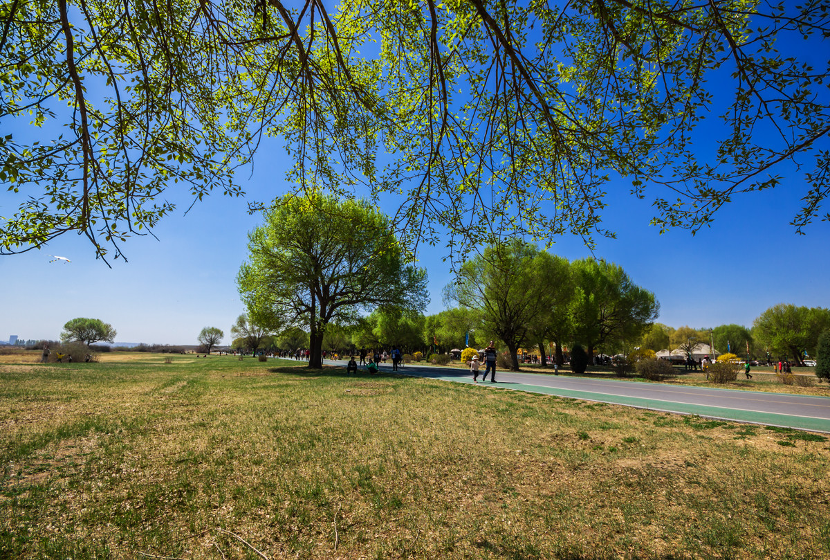 包头赛罕塔拉公园