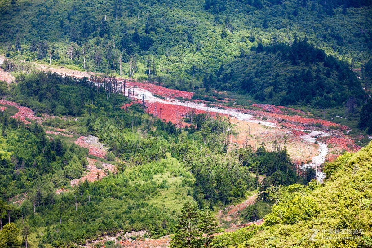 海螺沟—贡嘎雪山